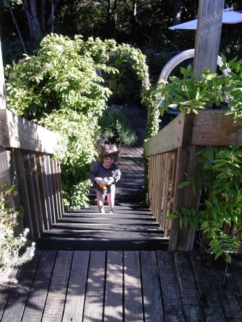 Garden Arch Garden Arch